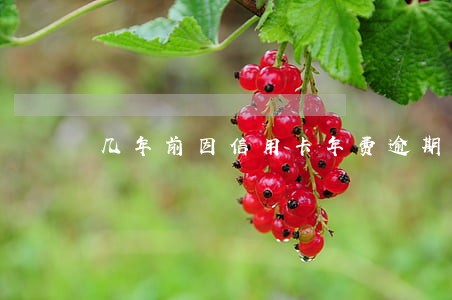 几年前因信用卡年费逾期