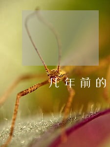 几年前的信用卡逾期