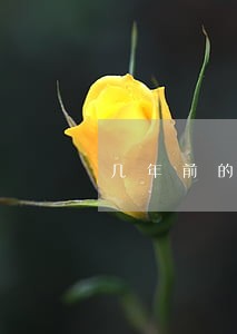 几年前的非恶意信用卡逾期 几年前的非恶意信用卡逾期