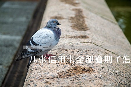 几张信用卡全部逾期了怎么办 几张信用卡全部逾期了怎么办