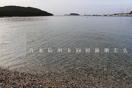 几张信用卡同时逾期怎么还款 几张信用卡同时逾期怎么还款