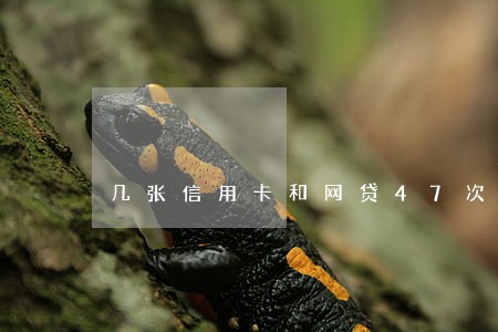 几张信用卡和网贷47次逾期 几张信用卡和网贷47次逾期