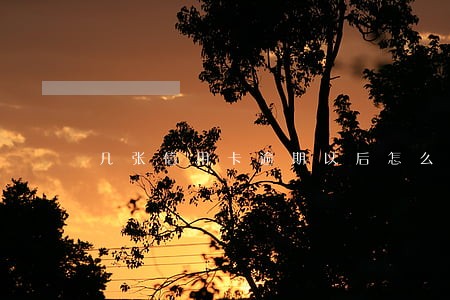 几张信用卡逾期以后怎么还原