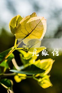 几张信用卡逾期后果 几张信用卡逾期后果