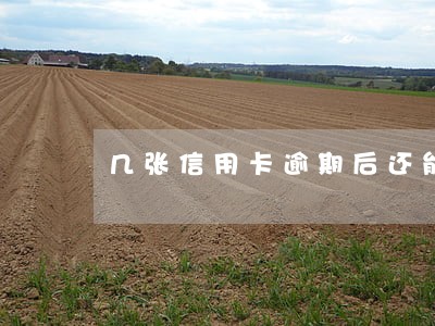 几张信用卡逾期后还能贷款吗