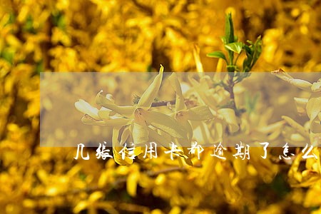 几张信用卡都逾期了怎么办 几张信用卡都逾期了怎么办