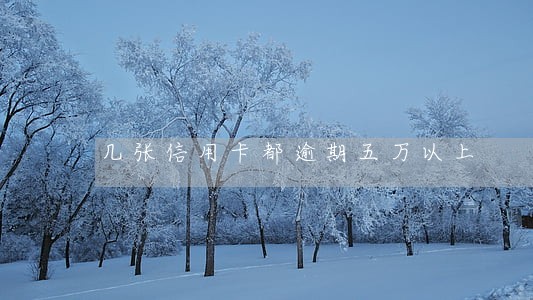 几张信用卡都逾期五万以上 几张信用卡都逾期五万以上