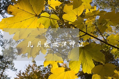 几月发放律师证 几月发放律师证