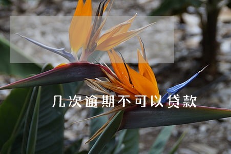 几次逾期不可以贷款 几次逾期不可以贷款