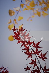 几次逾期影响办信用卡吗 几次逾期影响办信用卡吗