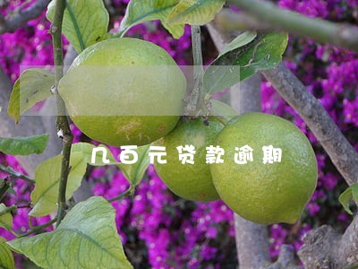 几百元贷款逾期 几百元贷款逾期