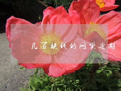 几百块钱的网贷逾期