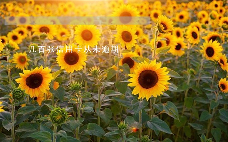 几百张信用卡从未逾期 几百张信用卡从未逾期
