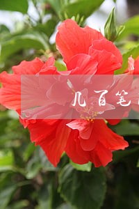 几百笔网贷未逾期 几百笔网贷未逾期