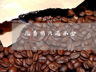 凡普信只还本金