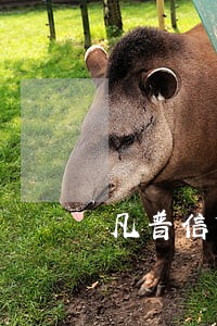 凡普信贷款逾期不还 凡普信贷款逾期不还