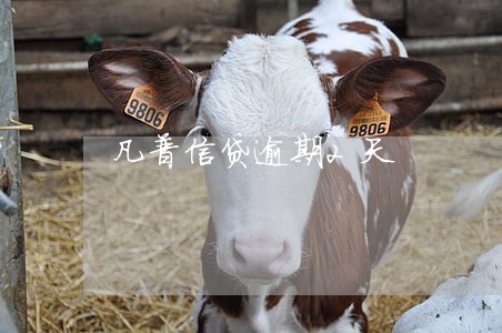 凡普信贷逾期2天 凡普信贷逾期2天