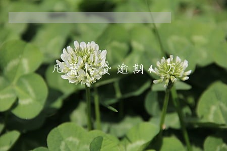 凡普信贷逾期4万 凡普信贷逾期4万
