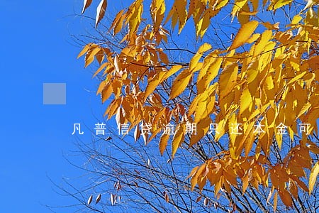 凡普信贷逾期只还本金可信吗 凡普信贷逾期只还本金可信吗