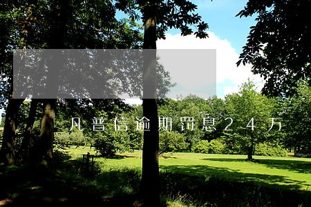 凡普信逾期罚息24万 凡普信逾期罚息24万