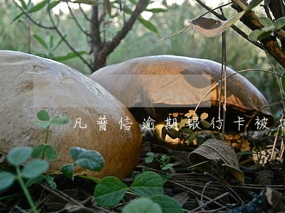 凡普信逾期银行卡被冻结