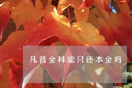 凡普金科能只还本金吗 凡普金科能只还本金吗