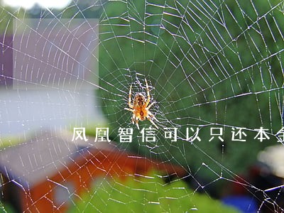 凤凰智信可以只还本金吗 凤凰智信可以只还本金吗