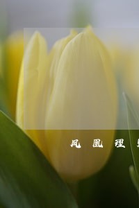 凤凰理财2月逾期了 凤凰理财2月逾期了