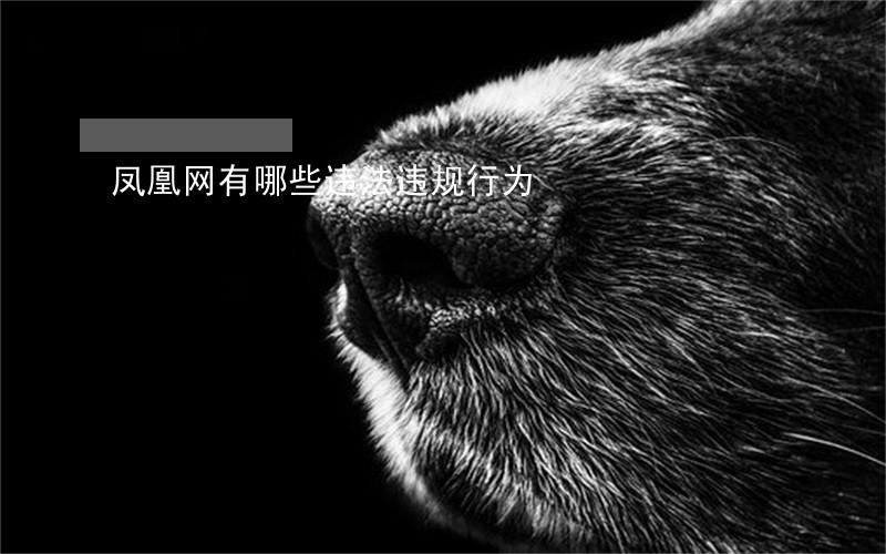 凤凰网有哪些违法违规行为 凤凰网有哪些违法违规行为