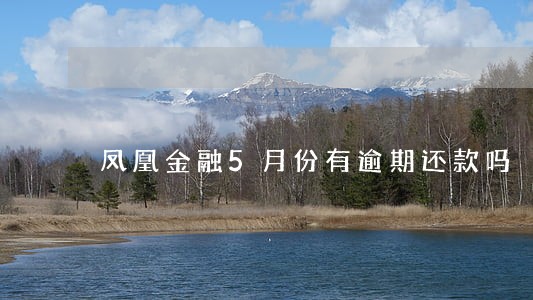 凤凰金融5月份有逾期还款吗 凤凰金融5月份有逾期还款吗