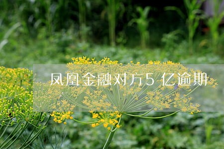 凤凰金融对方5亿逾期 凤凰金融对方5亿逾期