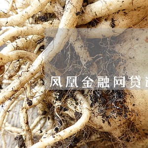 凤凰金融网贷逾期了怎么办 凤凰金融网贷逾期了怎么办
