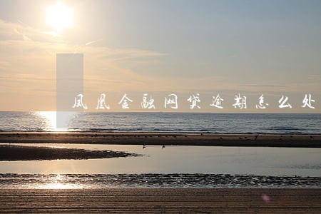 凤凰金融网贷逾期怎么处理 凤凰金融网贷逾期怎么处理