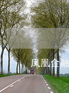 凤凰金融逾期的是定期还是网贷