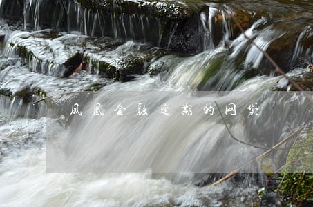 凤凰金融逾期的网贷 凤凰金融逾期的网贷