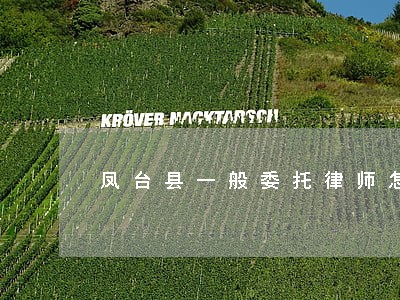 凤台县一般委托律师怎么收费 凤台县一般委托律师怎么收费