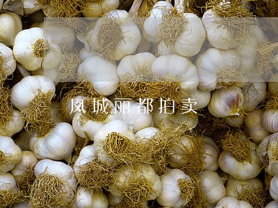 凤城丽都拍卖 凤城丽都拍卖