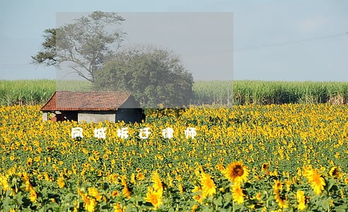 凤城拆迁律师