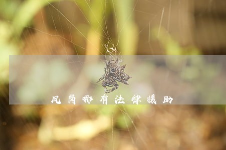 凤岗哪有法律援助