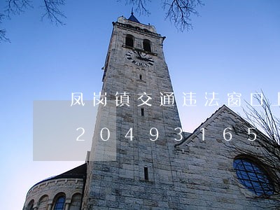 凤岗镇交通违法窗口上班时间/2023020493165 凤岗镇交通违法窗口上班时间/2023020493165