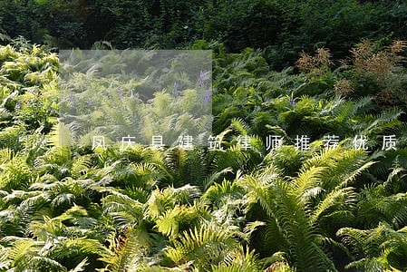 凤庆县建筑律师推荐优质服务 凤庆县建筑律师推荐优质服务