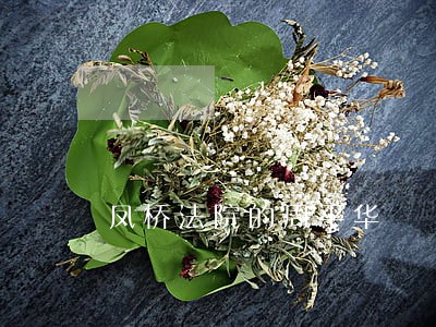 凤桥法院的周平华 凤桥法院的周平华