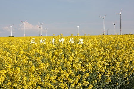 凤翔律师推荐 凤翔律师推荐
