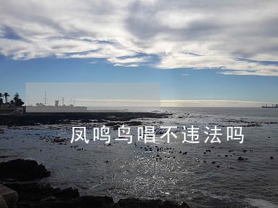 凤鸣鸟唱不违法吗