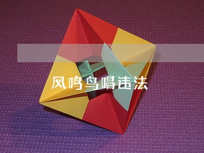 凤鸣鸟唱违法 凤鸣鸟唱违法