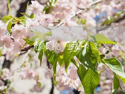 凭法院判决书怎么过户房产 凭法院判决书怎么过户房产