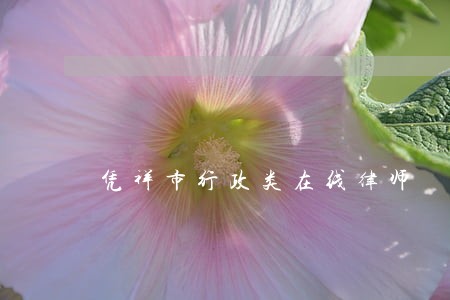 凭祥市行政类在线律师 凭祥市行政类在线律师