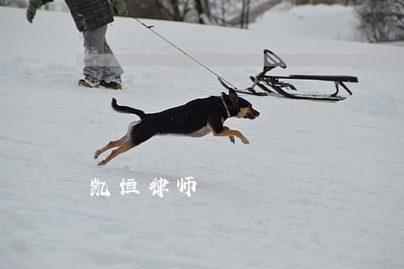 凯恒律师 凯恒律师