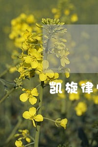 凯旋律师 凯旋律师
