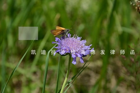 凯迪拉克给高德发律师函 凯迪拉克给高德发律师函